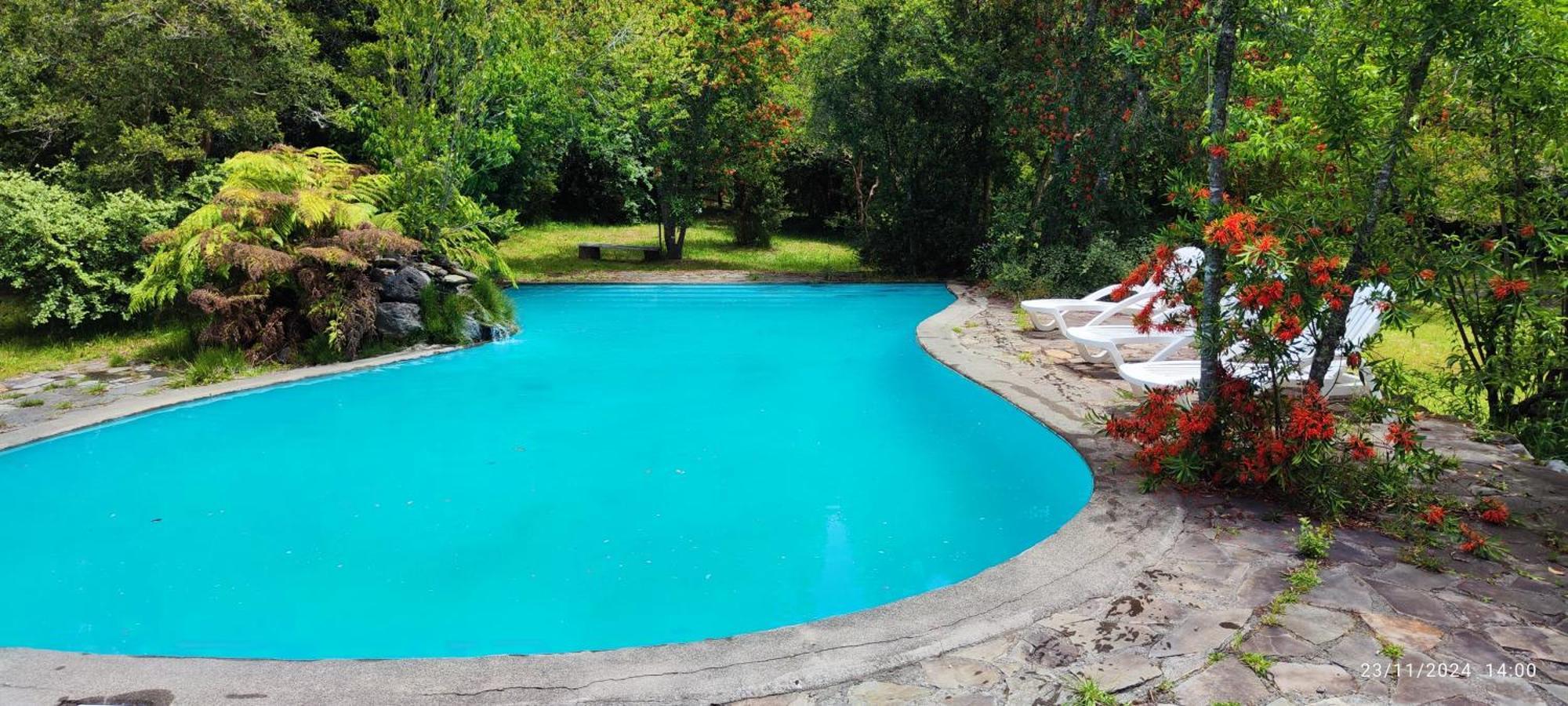 Bambu Lodge Pucón Esterno foto